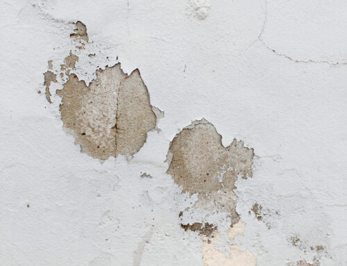 The Key to Long-Term Property Health: Damp Proofing Explained